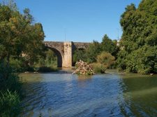 Puente sobre el río en Olivares de Duero