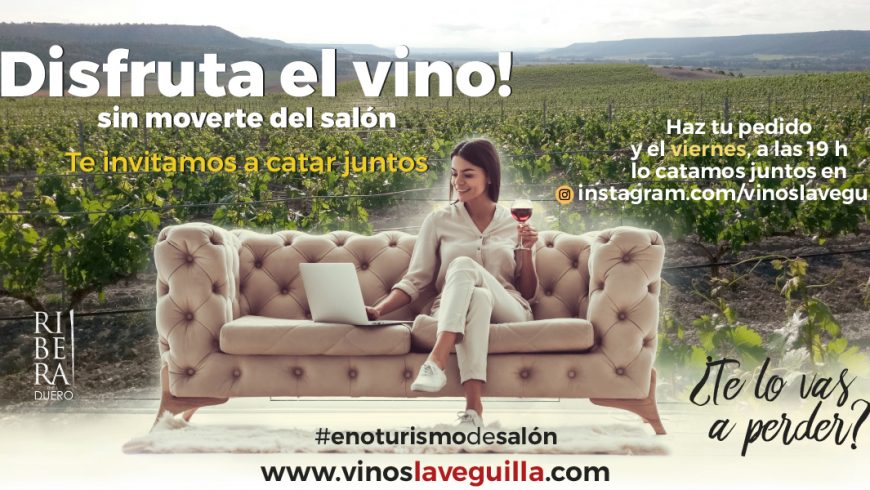 ¿Te apasiona el vino? Te proponemos practicar enoturismo de salón.